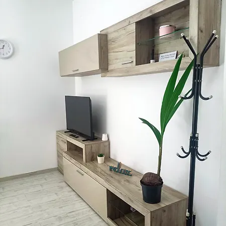 Friendly Little * Braşov