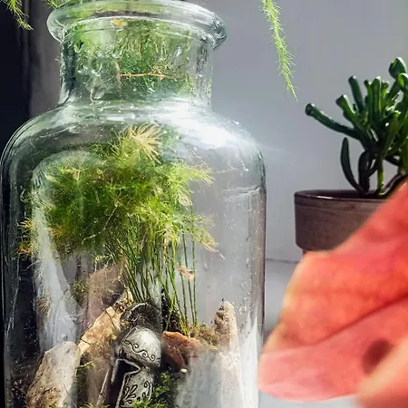 Friendly Little Lejlighed Braşov