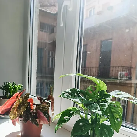 דירה Friendly Little